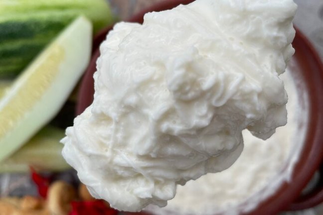 Mozzarella Farm Experience