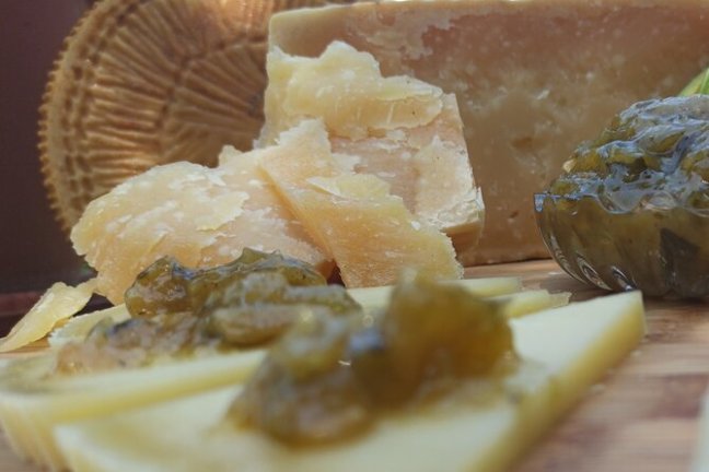 Mozzarella Farm Experience