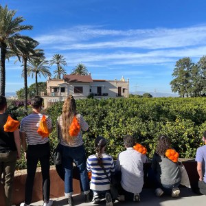 Valencia orange farm tour
