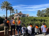 Valencia orange farm tour