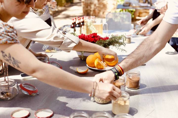 Valencia orange farm tour