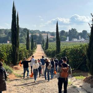 Valencia orange farm tour