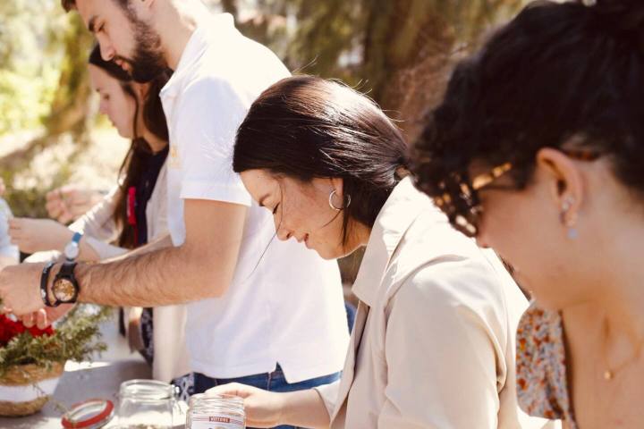 Valencia orange farm tour