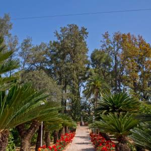 Valencia orange farm tour