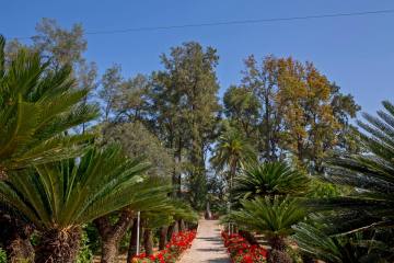 Valencia Orange Farm Tour | Spain Farm Experiences & Tours