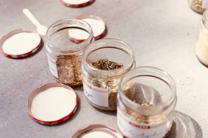 Valencia orange farm tour