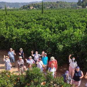 Valencia orange farm tour