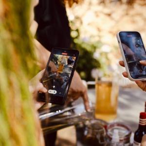 Valencia orange farm tour