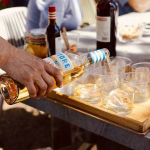 Valencia orange farm tour