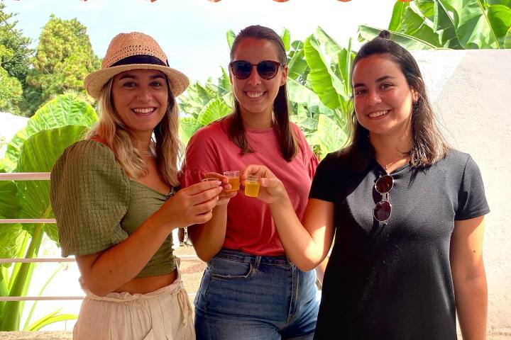 Banana farm tour tenerife