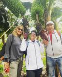Banana farm tour tenerife