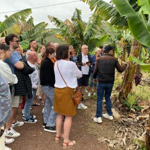 Banana farm tour tenerife