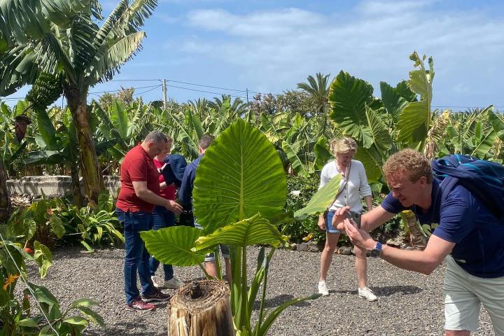 Banana farm tour tenerife