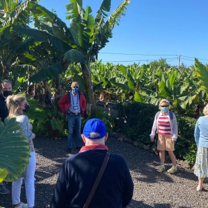 Banana farm tour tenerife