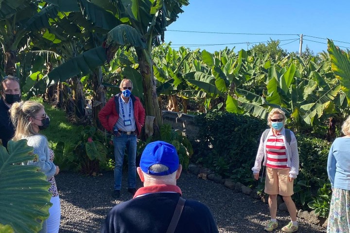 Banana farm tour tenerife