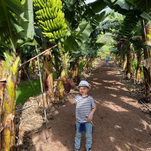 Banana farm tour tenerife