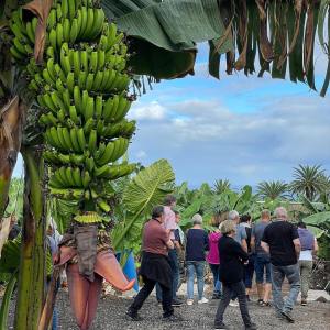 Banana farm tour tenerife