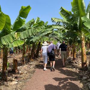 Banana farm tour tenerife