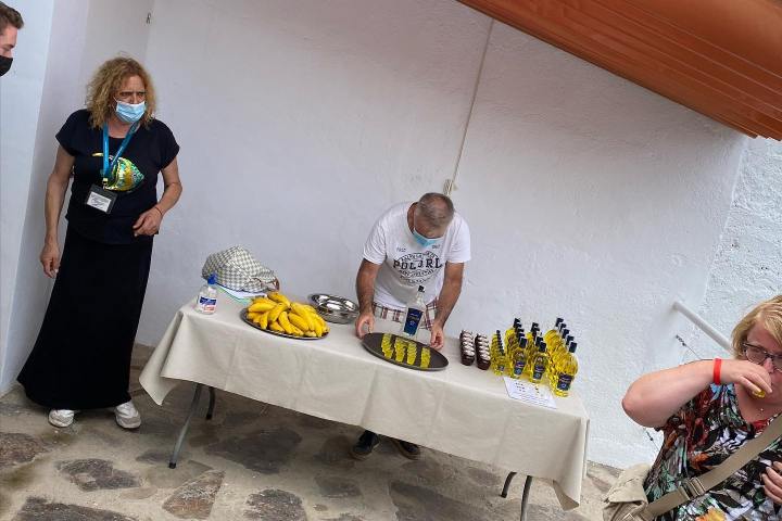 Banana farm tour tenerife