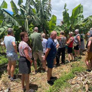 Banana farm tour tenerife