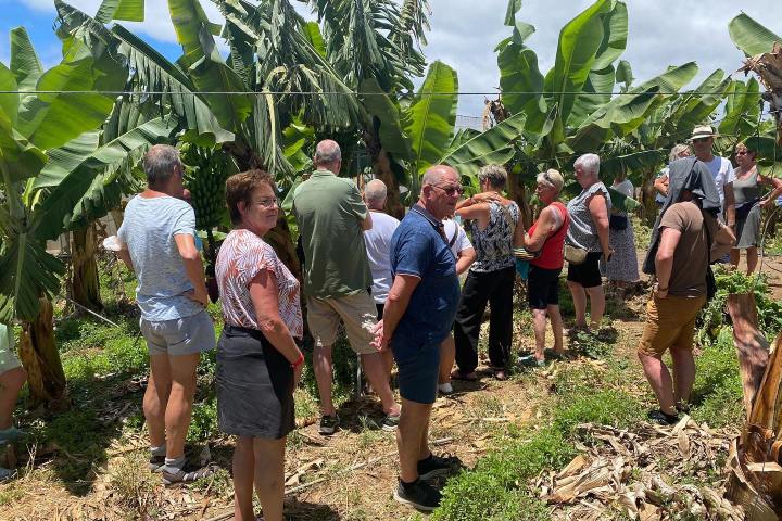 Banana farm tour tenerife