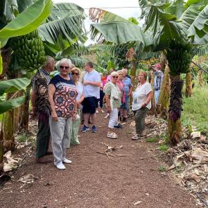 Banana farm tour tenerife