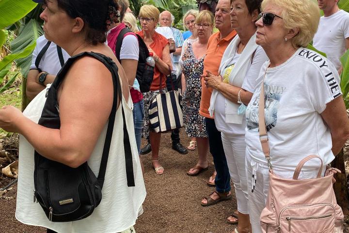 Banana farm tour tenerife