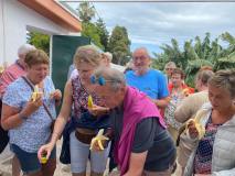 Banana farm tour tenerife