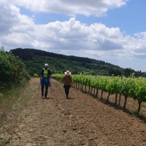 Barcelona Wine Tasting Tour