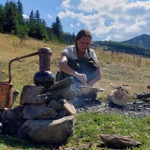 mallorca herbalism experience