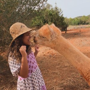 Ibiza Alpaca Tour