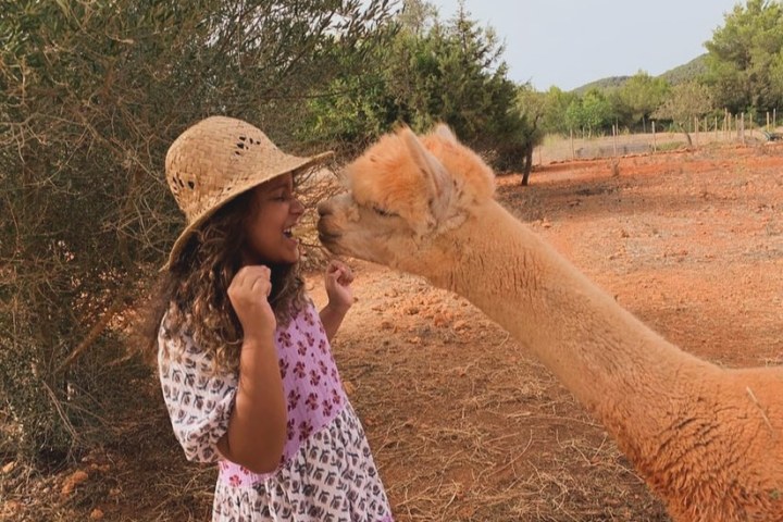 Ibiza Alpaca Tour