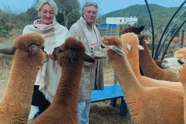 Ibiza Alpaca Tour