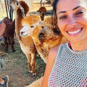 Ibiza Alpaca Tour