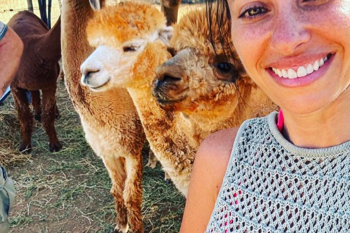 Ibiza Alpaca Tour