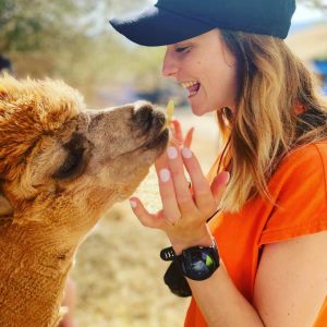 Ibiza Alpaca Tour