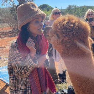Ibiza Alpaca Tour