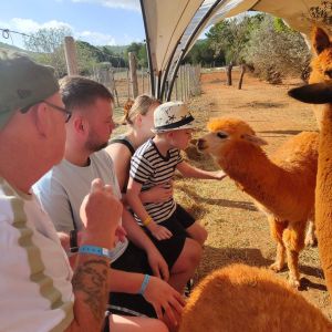 Ibiza Alpaca Tour
