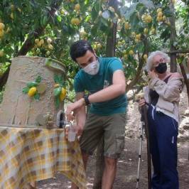 Sorrento Farm-to-Table Tour