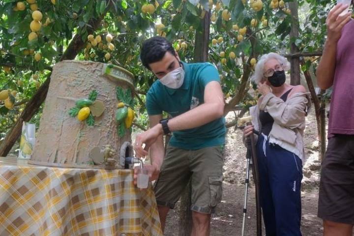 Sorrento Farm-to-Table Tour