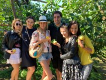 Valencia orange farm tour