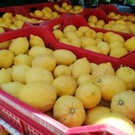 Sorrento Farm-to-Table Tour