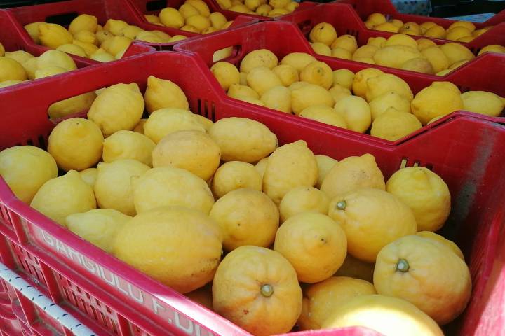 Sorrento Farm-to-Table Tour