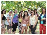 Sorrento Farm-to-Table Tour