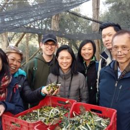 Sorrento Farm-to-Table Tour