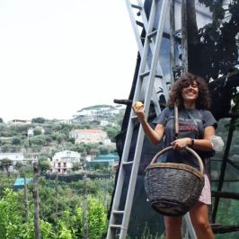 Sorrento Farm-to-Table Tour