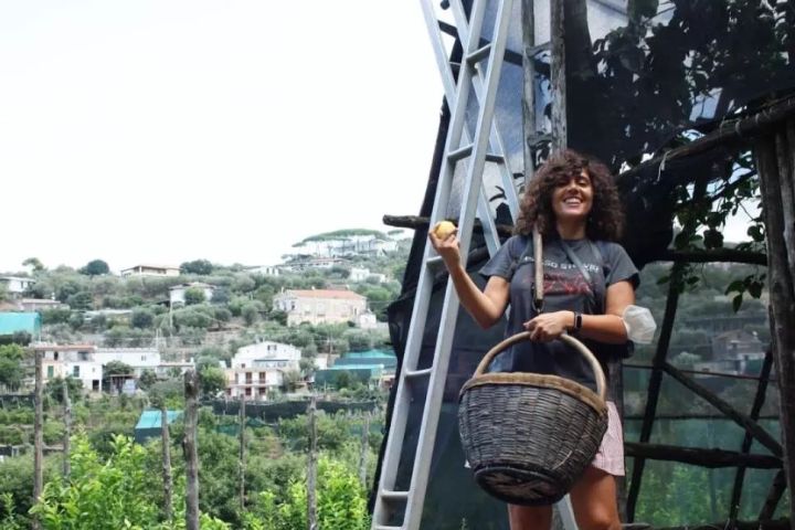 Sorrento Farm-to-Table Tour