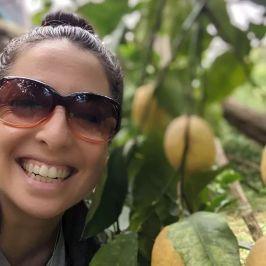 Sorrento Farm-to-Table Tourcamera