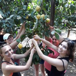 Sorrento Farm-to-Table Tour