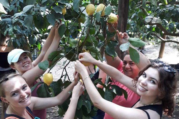 Sorrento Farm-to-Table Tour